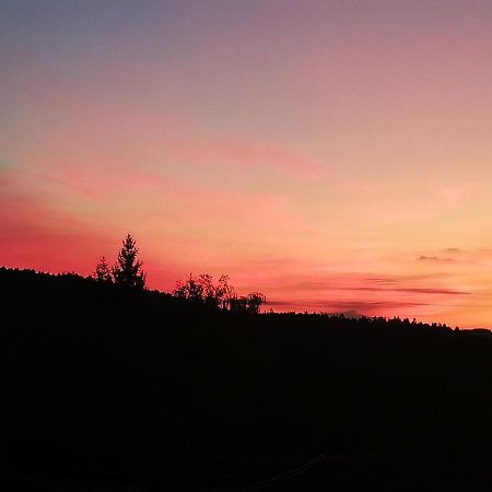 Ferienwohungen Im Kuchersbach Hornberg Kültér fotó