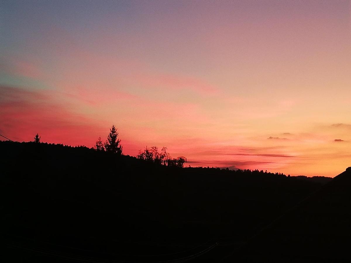 Ferienwohungen Im Kuchersbach Hornberg Kültér fotó