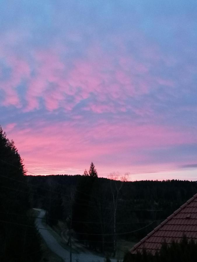 Ferienwohungen Im Kuchersbach Hornberg Kültér fotó