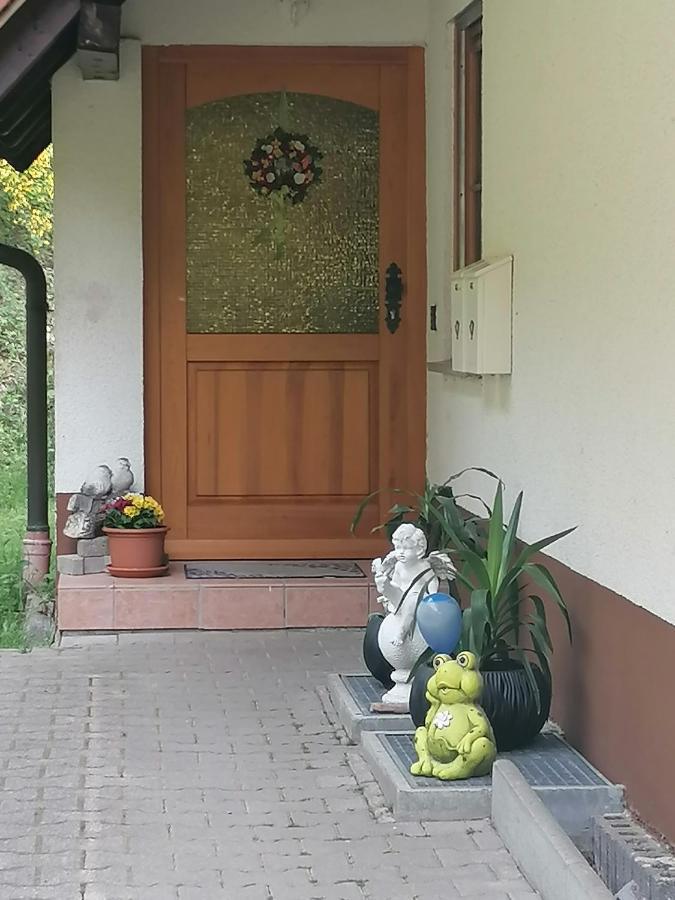Ferienwohungen Im Kuchersbach Hornberg Kültér fotó