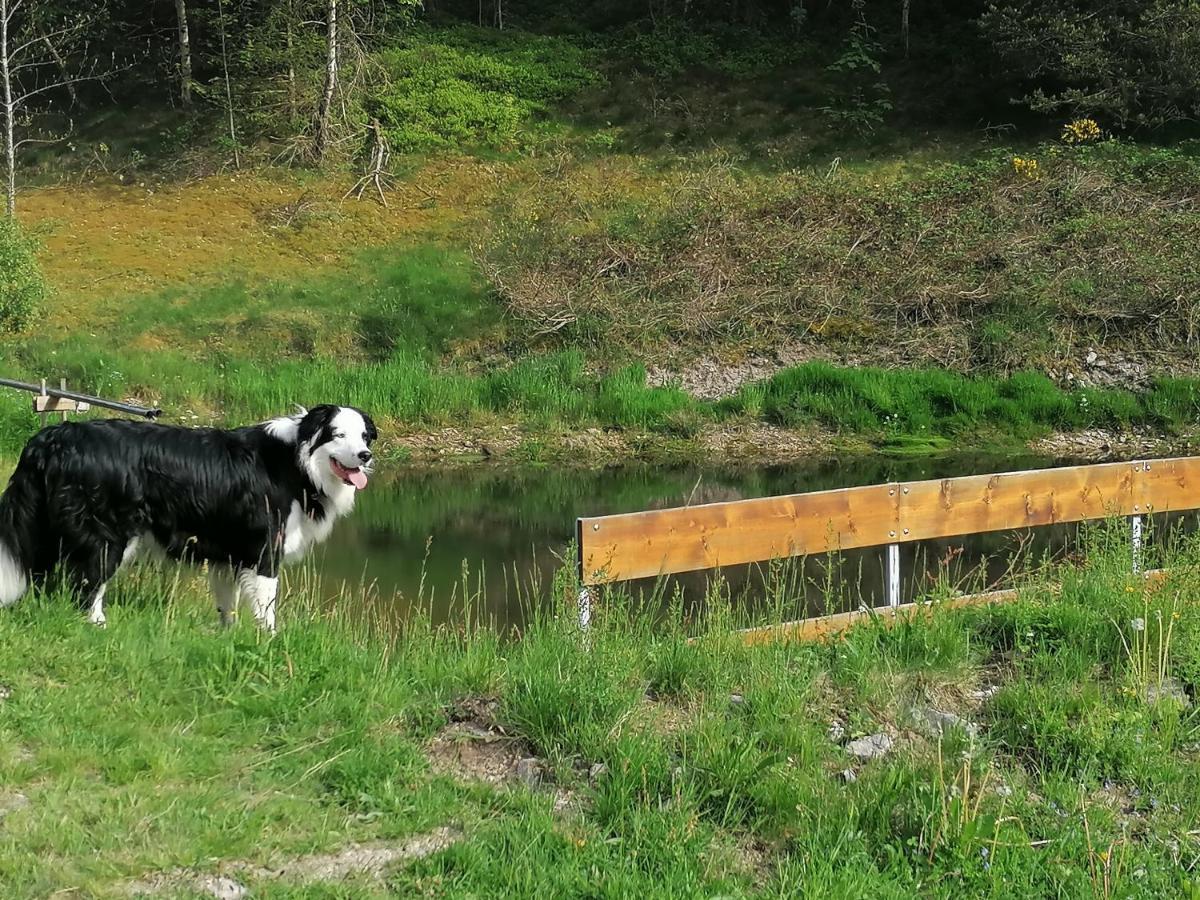 Ferienwohungen Im Kuchersbach Hornberg Kültér fotó