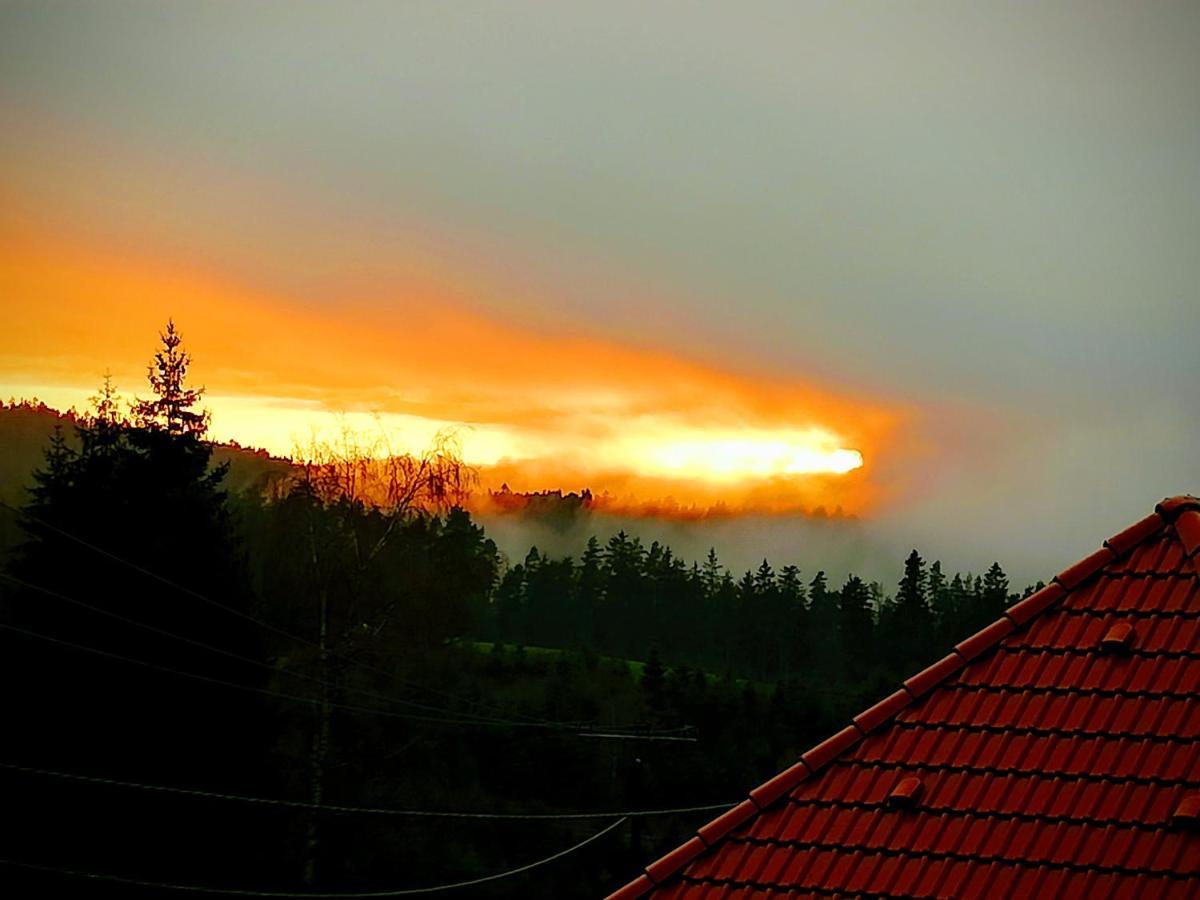 Ferienwohungen Im Kuchersbach Hornberg Kültér fotó