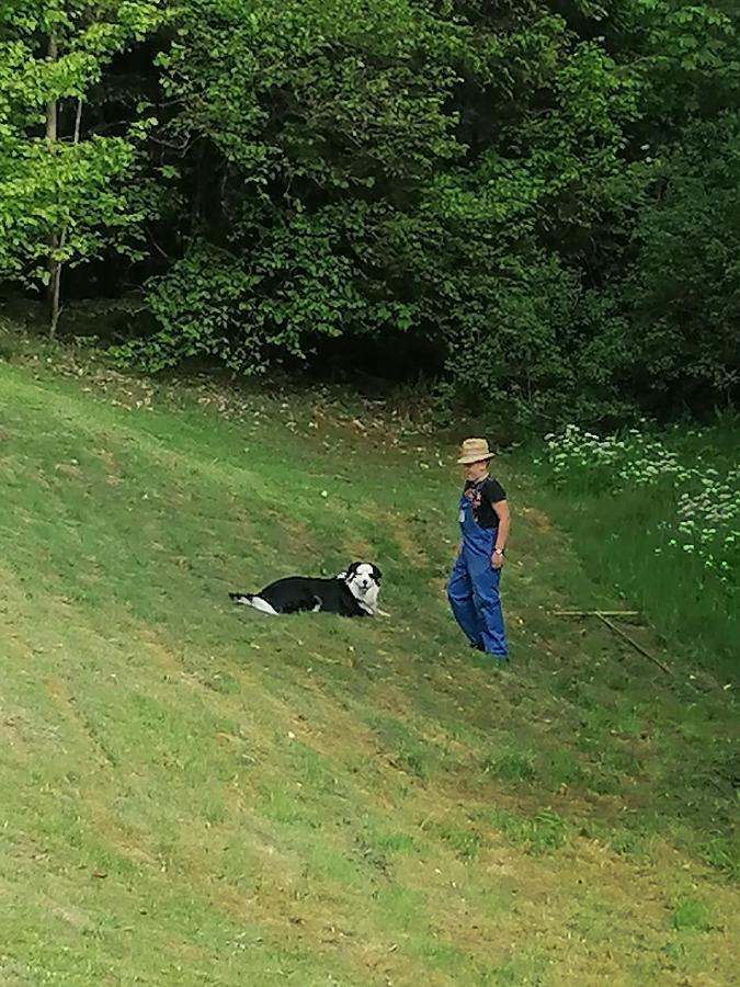 Ferienwohungen Im Kuchersbach Hornberg Kültér fotó
