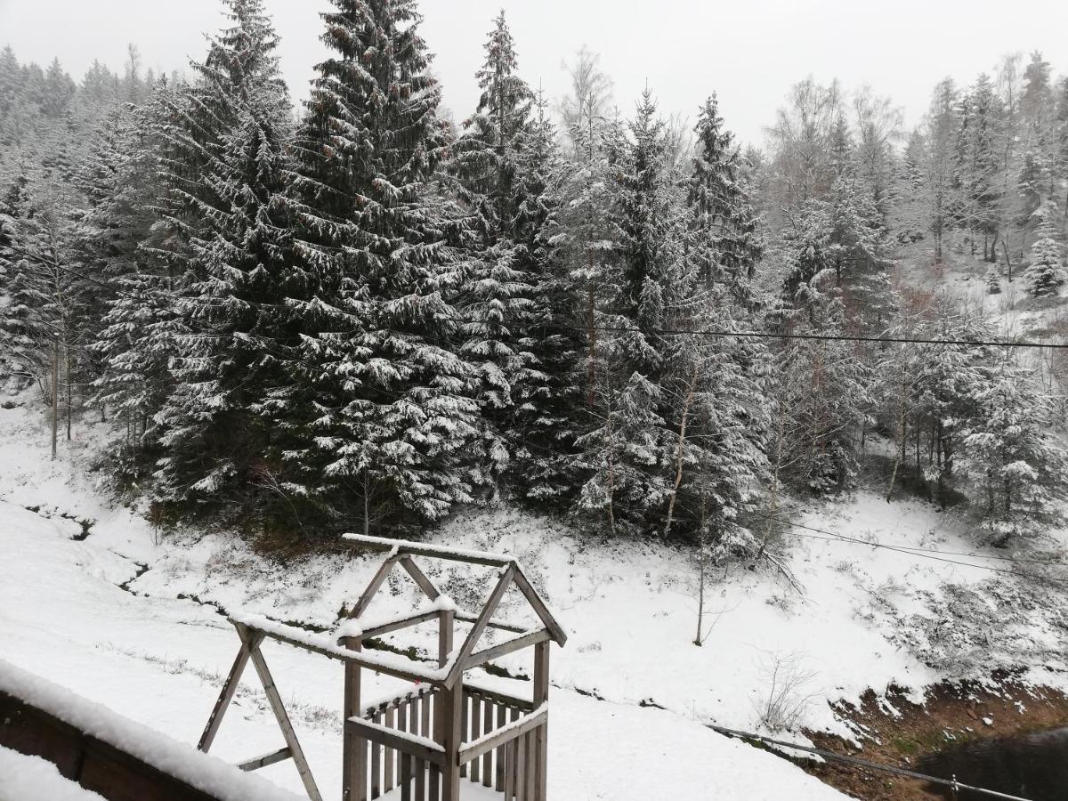 Ferienwohungen Im Kuchersbach Hornberg Kültér fotó
