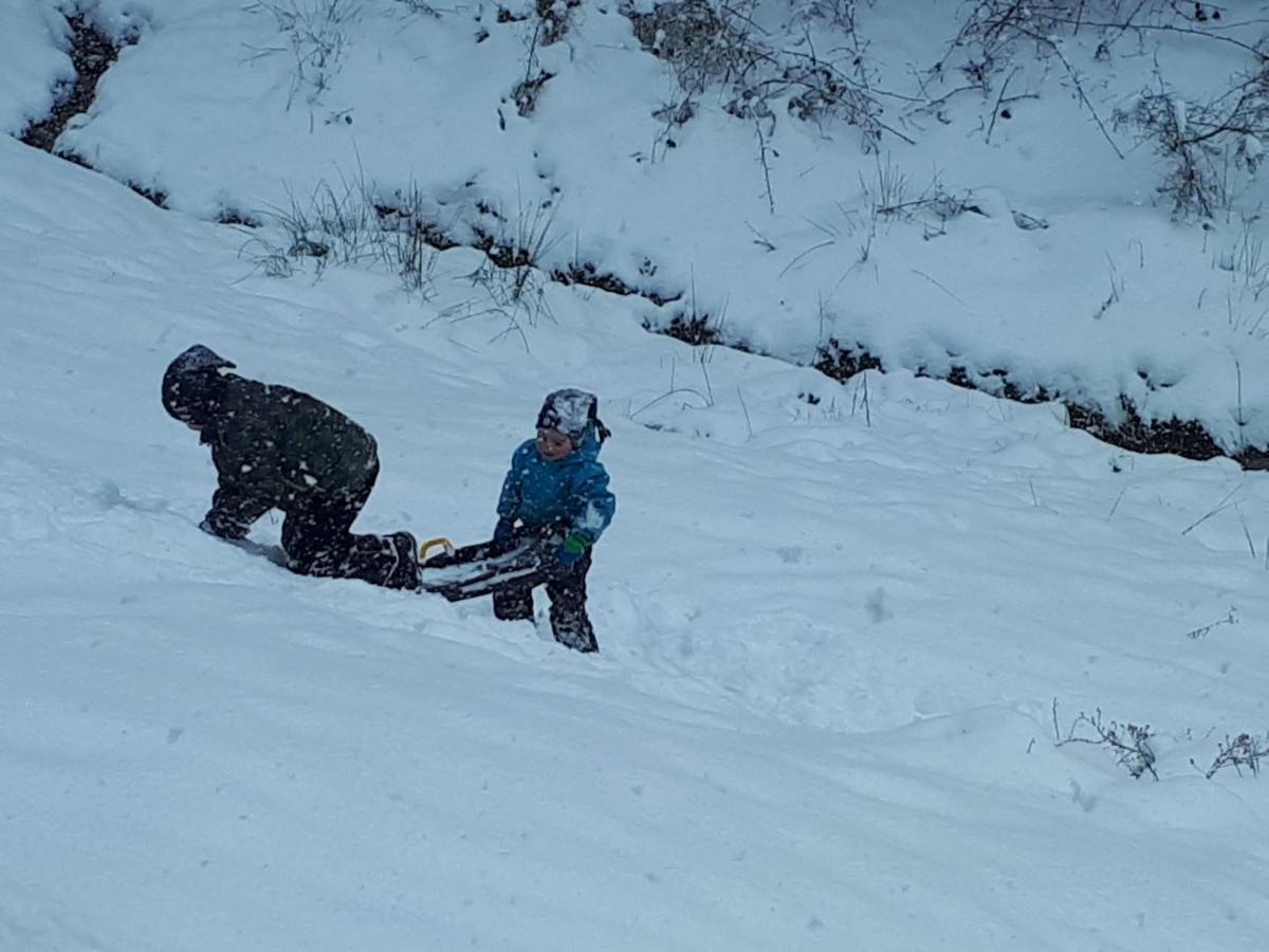 Ferienwohungen Im Kuchersbach Hornberg Kültér fotó