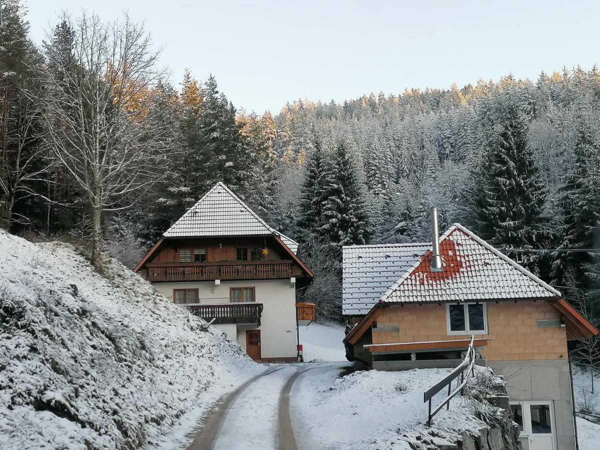 Ferienwohungen Im Kuchersbach Hornberg Kültér fotó