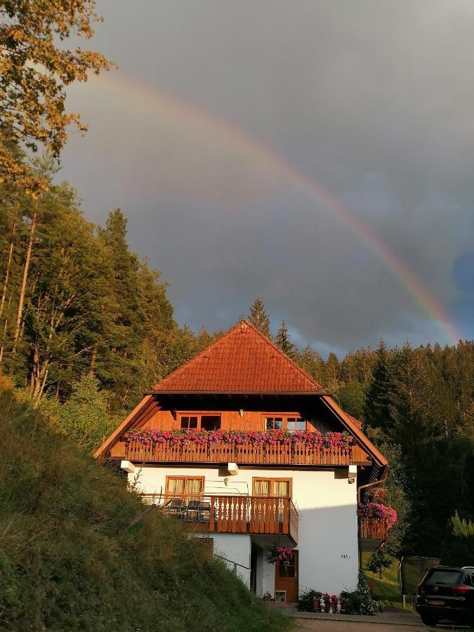 Ferienwohungen Im Kuchersbach Hornberg Kültér fotó